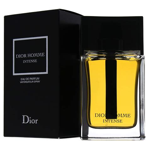 dior s homme buy